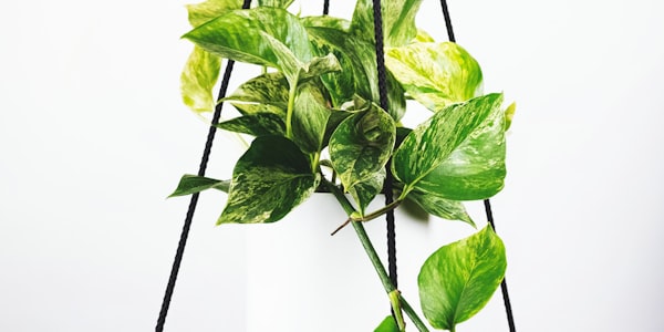 欧冠联赛巴塞罗那对阵拜仁慕尼黑的赛后技术统计与复盘